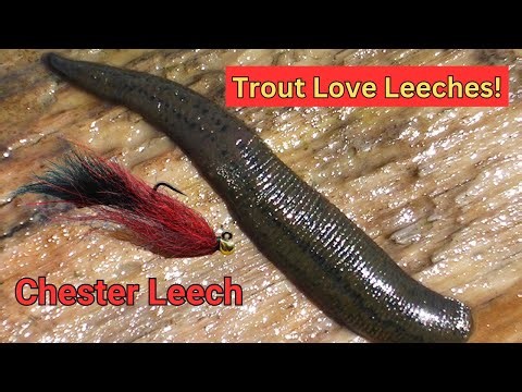 Tie a Simple Leech Pattern Like a Pro | The Chester Leech