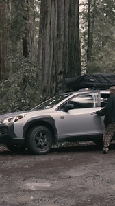 23K views · 251 reactions | "We breathed in big deep breaths and began to dream on what 2024 has in store. ✨" Faith and her family traveled through the Grove of Titans in the Redwoods as a way to teach their child about the greatness of the outdoors. Explore nature in an #OutbackWilderness. Learn more about Subaru Wilderness here: https://www.subaru.com/vehicle-info/wilderness (️: Faith Briggs Rose) | Subaru of America, Inc. | Facebook