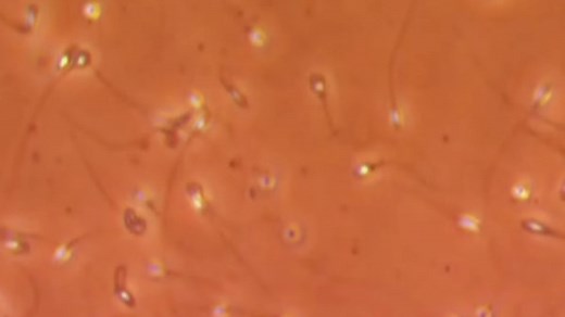 A Girl's Guide to 21st Century Sex 1x08 "Designer Vaginas"