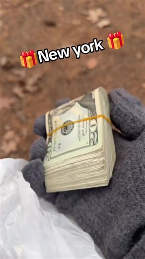 Exploring Daily Cash Opportunities in New York City