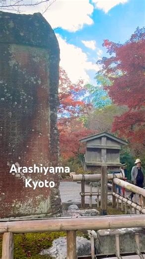 Walking Through Japan’s Famous Bamboo Forest 🎋✨