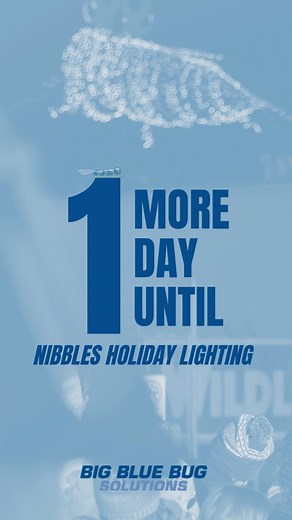 3.2K views · 26 reactions | 'Twas the night before our 33rd annual lighting of the Big Blue Bug, Nibbles! ⭐️ We can't wait to light up the night sky tomorrow at 6pm. Tune in here as we will be live streaming the event all evening long. https://bit.ly/3xN50zv | Big Blue Bug Solutions | Facebook