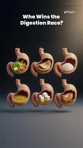 Who Wins the Digestion Race #service #HealthTok #MedicalLab #aarogya #HealthcareAtHome @Pratima Maharjan @Prashamsa✨ @Amit Pradhananga @Ivan Dhas @Seema🌸