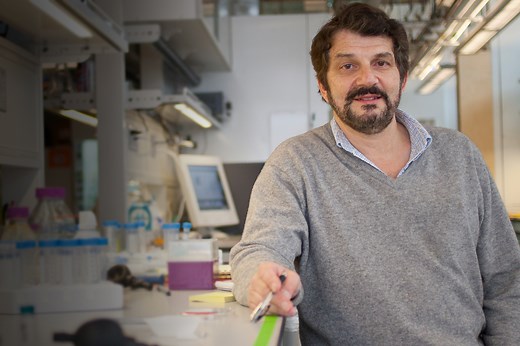 BIOS Podcast - Future of Microfluidics with David Weitz - Professor at Harvard/Core Faculty at Wyss Institute