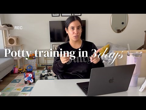 How to POTTY TRAIN a toddler in THREE DAYS