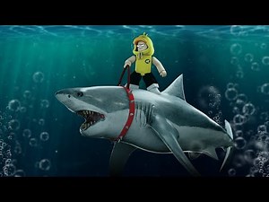 Mister Pengendali Megalodon!