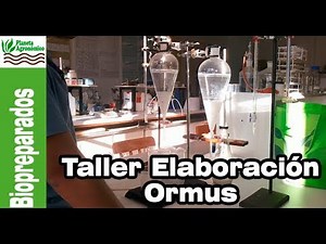 Taller de ELABORACIÓN de 🌱 ORMUS con 🌊 agua de mar