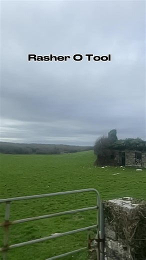 Irish Humour: Brendan Grace's Classic Monkey Joke | Clare 🍀