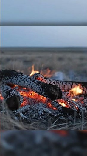 How First Contact Began For Native Americans