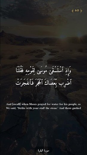 سورة البقرة - مشاري العفاسي | تلاوة هادئة للنوم 🌙