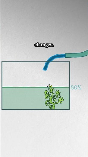 Aquarium Setup Best Maintenance Schedule