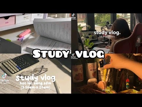 STUDY VLOG| Tổng hợp những video học bài chill 🌷
