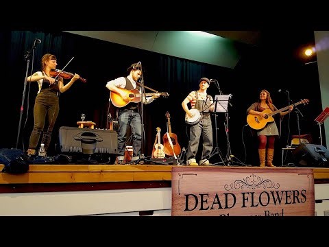 Dirty Old Town (Irish Classic Cover) - Dead Flowers Live at SIGA 2018! (A Look Back at Our Roots)
