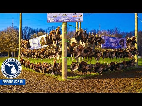 Turkey Hunting, Turkey Pole, and Food Plot Tips! 