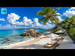 🌴 Your Perfect Tropical Beach Escape 🌊 Ocean Waves & Birdsong for Relaxation, Focus & Calm | 4K