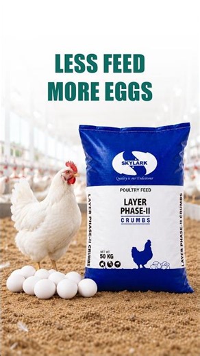 How to Increase Egg Production in Layers? | Less Feed, More Eggs | Skylark Group #shorts