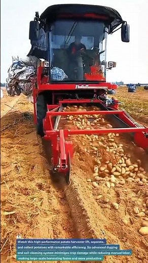 High-Speed Potato Harvester Maximizes Harvest Efficiency! #PotatoHarvest #FarmTech #AgriMachinery