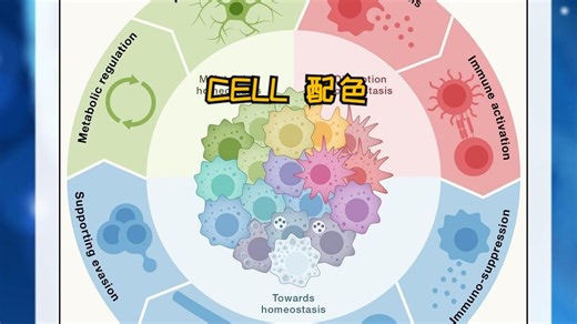 【CELL配色】我导教我抄作业！