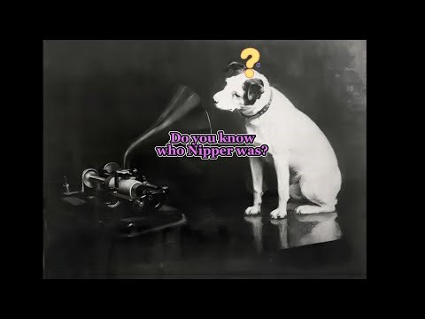 Nipper The Real Dog Behind 'His Master's Voice