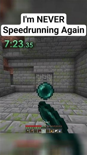 I'm NEVER Speedrunning Again