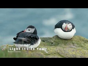 Light Inside You - Melodrama | Sad and Emotional Piano