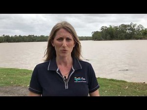 Fitzroy River Turtles