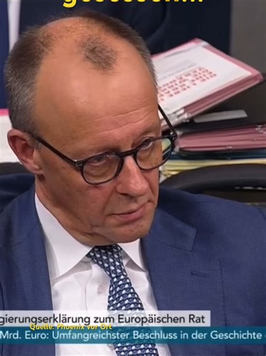 AFD: Eine irreversibele Alternative für Deutschland