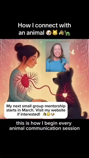 Did you know that anybody can talk to animals? I have a small group mentorship beginning in March. If you have ever considered learning animal communication or being an animal communicator, please visit my website and maybe we can work together! #animalcommunicator #animalcommunication #talktoanimals #animalstalktoyou #petpsychic