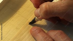 Sofer writes a sefer Torah in Hebrew, Israel, Close view The word written is shema Yisrael, the basic pray for every jewish, close up, israel, 2022