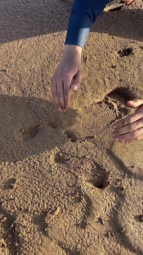 Creative Sand Play Activities for Outdoor Fun