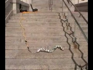 Robotic Snakes