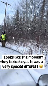 1.8M views · 8.7K reactions |  | SSR Rentals | Facebook