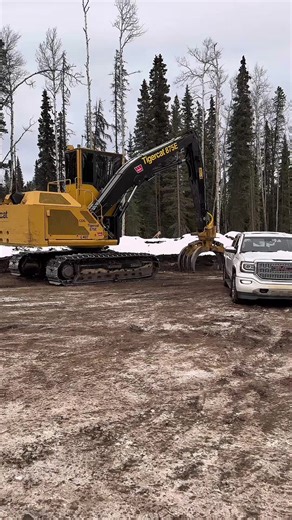 Sending twigs away :)#loading #logging #work #money