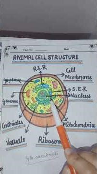 Animal cell full concept with diagram|biology for competitive exams|samjhe asaan bhasha me| #