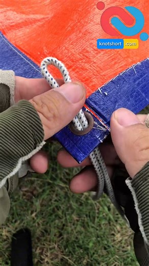 🧩One Knot to Lock Any Tarp Corner #knotshortchannel | Knot short channel