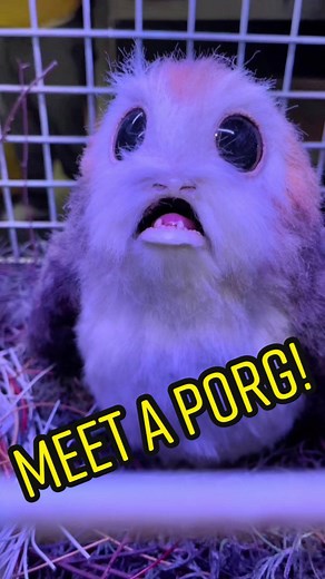 Meet an Animatronic Porg on Disney Wish Cruise Ship