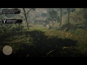 Red Dead Redemption 2 Chanterelle Mushroom Location
