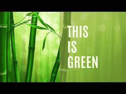 Most Beautiful Nature Scenery | 4K Cinematic Nature Video