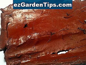 Wie man Holz kompostiert 🌱 Tipps Gärtner - De.ezGardenTips.com