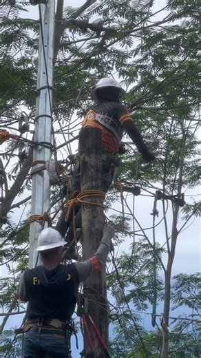 Repair service drop wire. #lineman