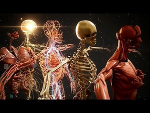 🔴 Inside Us Live: Human Anatomy & Organ Systems