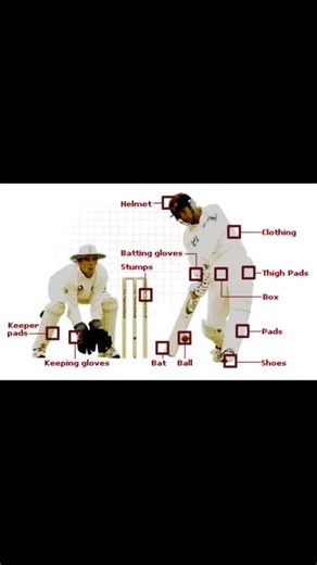 162 reactions · 53 shares | Cricket Skills & Technic #cricket #athletics #training #champion #training #trandingreels♥️ | Physical Education Study & Guidelines by-SK Vashishth | Facebook
