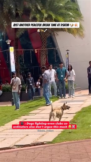 ᴅsᴀᴛᴍ ᴛʀᴏʟʟs 🗿 on Instagram: "DSATM amphitheatre turned into UFC arena during lunch break 💀🏁 #dsatm #dogfight #collegevibes . . Follow and Support : @dsatm_trollers VC: @riyaaar_28 . . #dayanandasagarinstitutions #viral #engineering #college #meme #troll #reelitfeelit #trending #goviral #fyp #comedyreels #india #karnataka #bengaluru #funnyvideos #vtu"