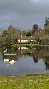 1.6K views · 55 reactions | You can always expect some dull wet days when you visit Ireland, but there’s still beauty to be found.  Keenaghan Cottage Belleek, County Fermanagh Tourism Ireland @top fans Forgotten Ireland #keenaghancottage #belleek #fermanagh #northernireland #ireland #april2024 #aprilshowers | Keenaghan Cottage | Facebook