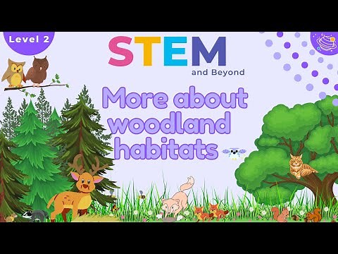 Woodland Habitats | Science For Kids | STEM Home Learning