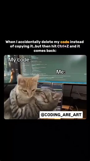 Coding Are Art on Instagram: "Ctrl + Z 😂😂 ✨ Follow @coding_are_art for AI + dev vibes! 😂 Comment how THIS video made you feel! #learncoding #viral #explorepage"