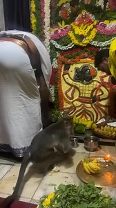 14K views · 637 reactions | jai shri ram | Simran Chauhan | Facebook