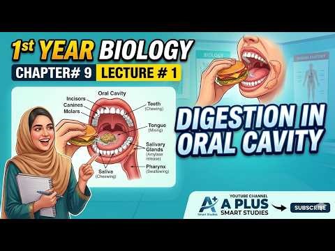 Digestion in Oral Cavity Class 11 Biology | FSC Part 1 Chapter 9 Lec 1 | A Plus Smart Studies