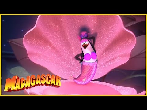 Madagascar en Español Latino | Pingüinos de fama mundial | Clip de Los Pingüinos de Madagascar
