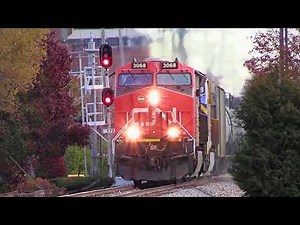CN Power & Two Freight Trains Ride The Rails At Hillside Illinois
